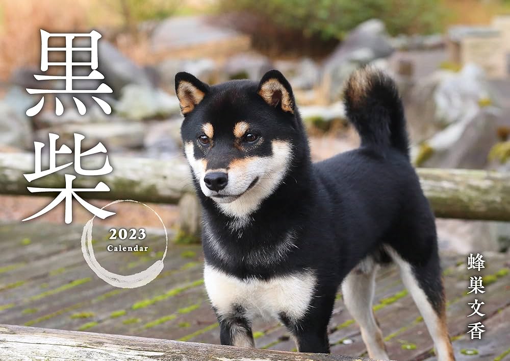 Amazon.co.jp: 黒柴カレンダー2023(壁掛け) ([カレンダー]) : 蜂巣