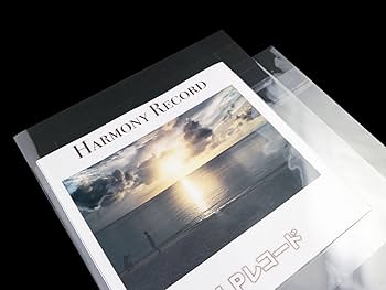 Amazon.co.jp: 【レコード袋】12インチ LPレコード用 本体側開閉自在
