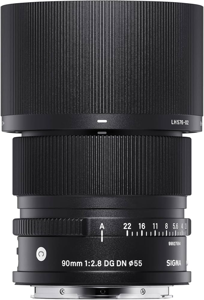 Amazon.com : 90mm F2.8 DG DN for Sony E : Electronics