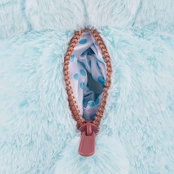 71Y15ObeXTL._AC_UF350,