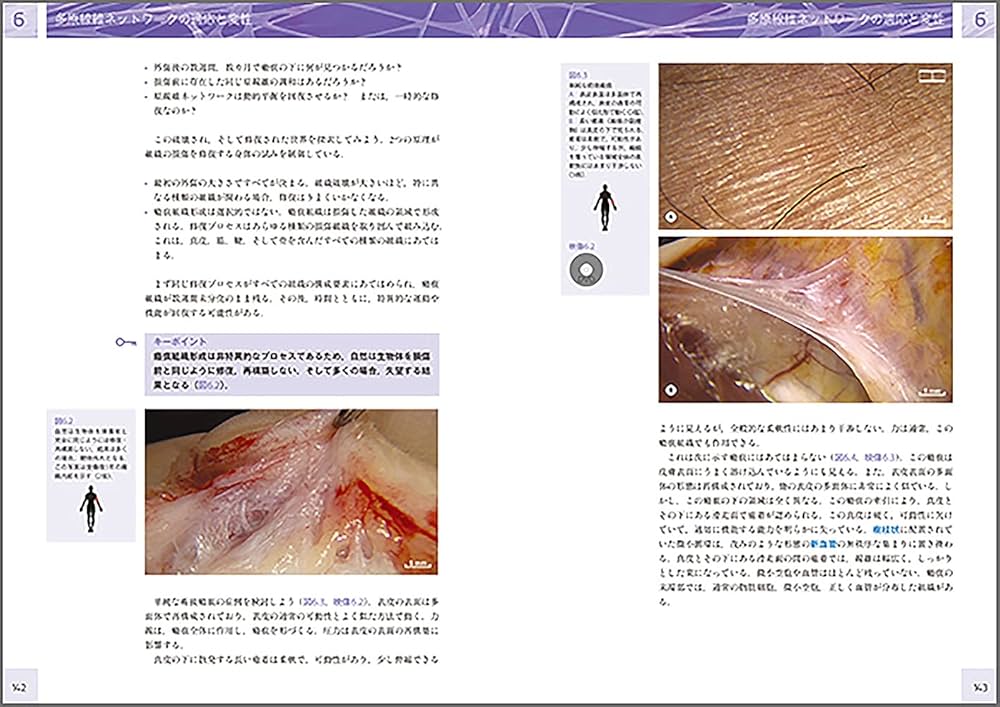 人の生きた筋膜の構造(DVD付き) 内視鏡検査を通して示される細胞外