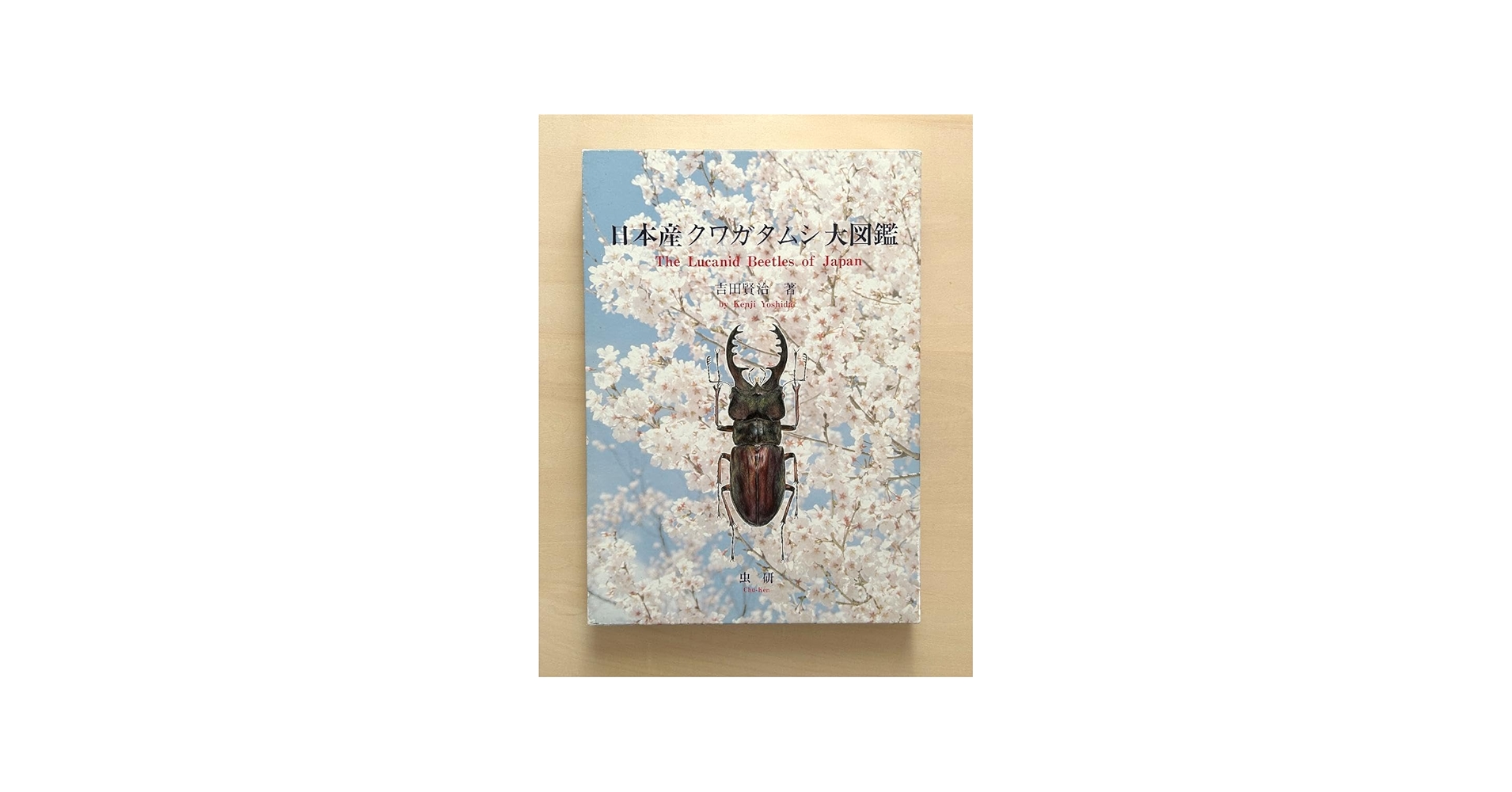 Amazon.co.jp: 日本産クワガタムシ大図鑑 The Lucanid Beetles of Ja
