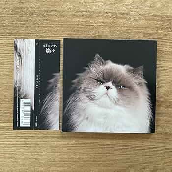 71YU961xTEL._AC_UF350,