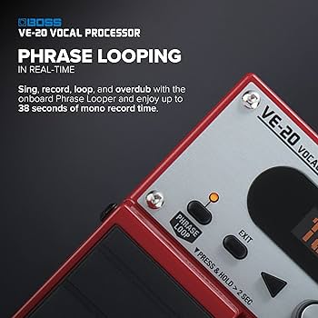 BOSS VE-20 Vocal Performer | Specialized Effects Unit for