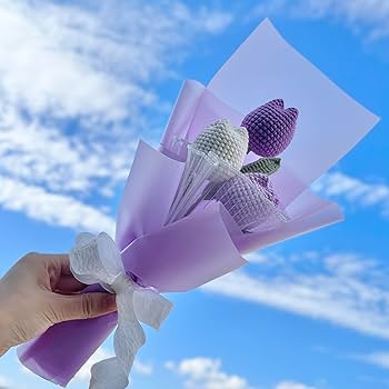 71YtOQ94ZAL._AC_UF350,