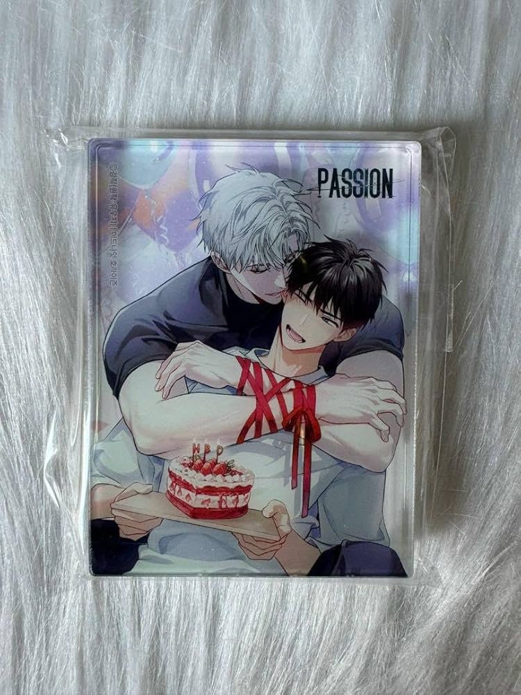 Amazon.co.jp: 韓国BL PASSION アクリルブロック : おもちゃ