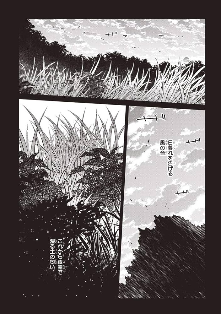 初回限定版 魔法使いの嫁 12 B(小冊子&特製収納BOX付) (BLADE COMIC SP