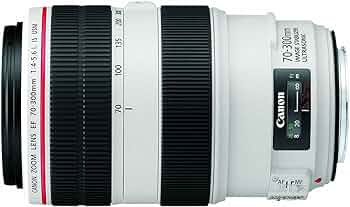 Amazon.co.jp: Canon EF 70-300mm f/4-5.6L IS USM Objectif Noir