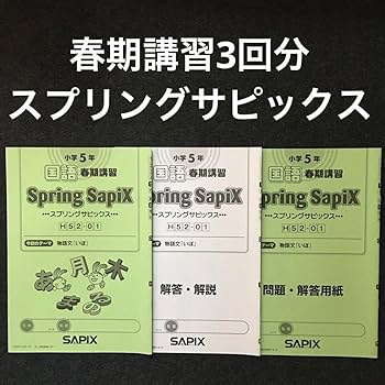 Amazon.co.jp: サピックス 5年 国語 1年分 季節講習 デイリーチェック