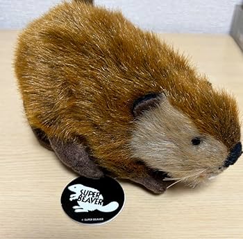 Amazon.co.jp: SUPER BEAVER スーパービーバー ビーバーちゃん