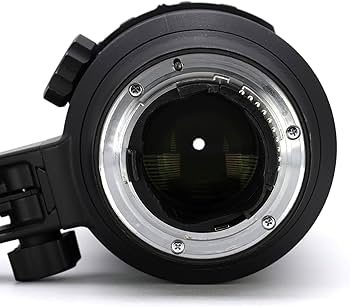 Amazon.co.jp: Nikon 望遠ズームレンズ AF-S NIKKOR 70-200mm f/2.8G