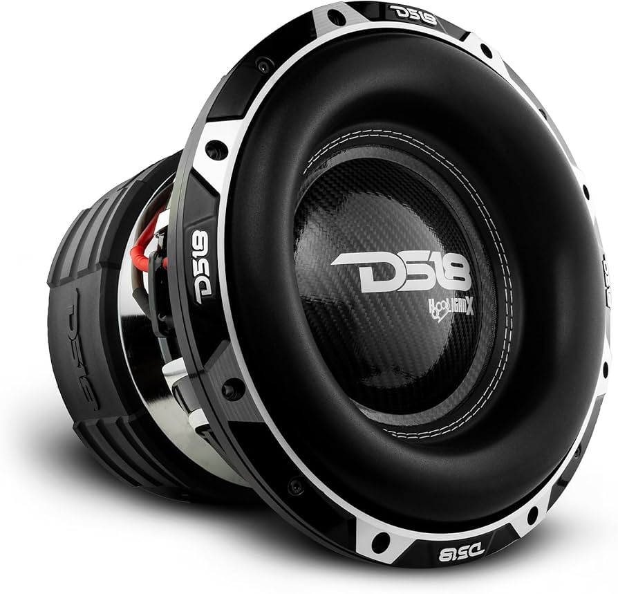 Amazon.com: DS18 HOOL-X12.2DHE Hooligan 12