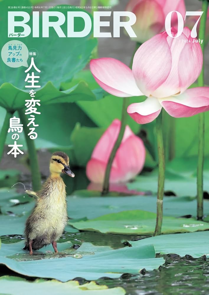 BIRDER（バーダー）2024年7月号 鳥見力アップの良書たち 人生を変える