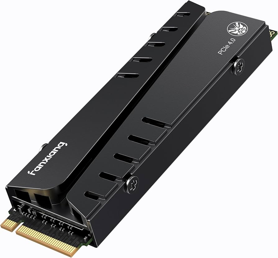 Amazon.com: fanxiang S770 1TB NVMe M.2 SSD for PS5 - with Heatsink