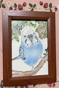Amazon.co.jp: 色鉛筆画 リアル可愛いセキセイインコ色鉛筆画 原画