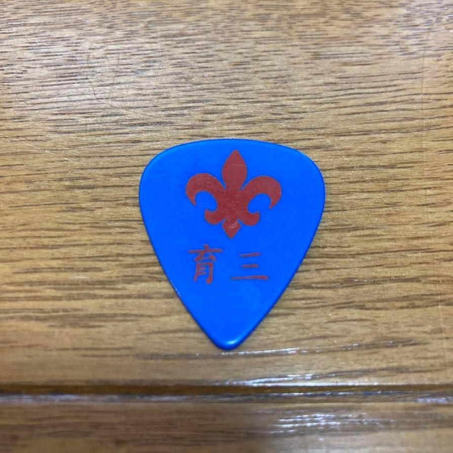 Amazon.co.jp: dragonash 馬場育三 ikuzone ピック zepp : 楽器・音響機器