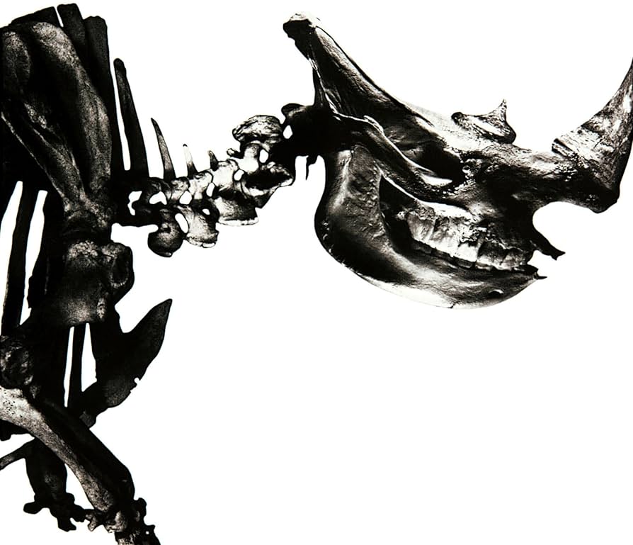 Amazon.co.jp: Mr.Children 1996-2000: ミュージック