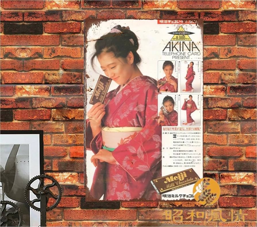 Amazon.co.jp: 【昭和の風情】中森明菜 昭和初期 写真ブリキ看板
