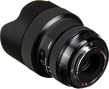 Amazon.com : Sigma 14-24mm F2.8 DG HSM, Black (212954) for Canon