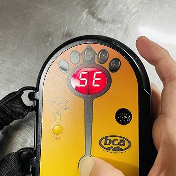 Amazon.co.jp: 中古美品 BCA DTS ビーコントラッカー アバランチ