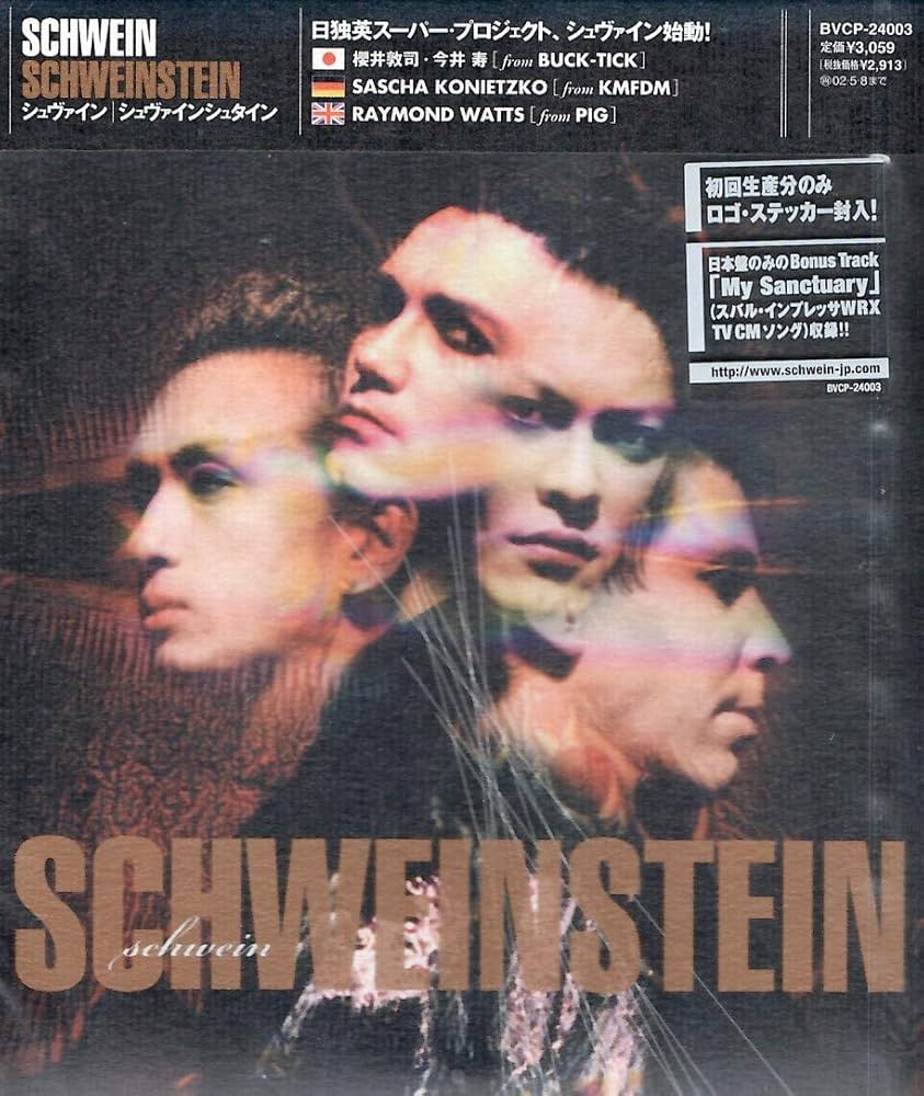 Amazon.co.jp: Schweinstein: ミュージック