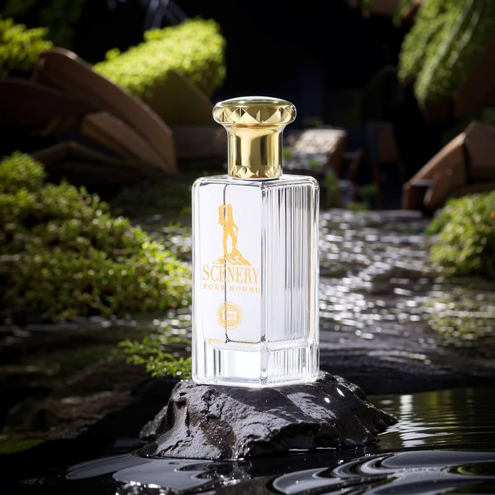 Amazon.com : Hybrid & Company Scenery Pour Homme For Men Eau De