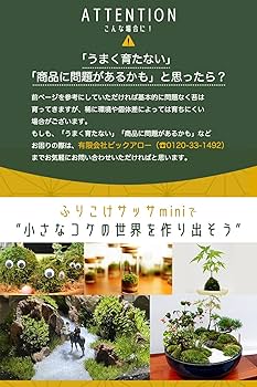 71ekp4tVqdL._AC_UF350,