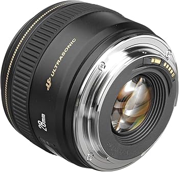 Amazon.com : Canon EF 28mm f/1.8 USM Wide Angle Lens for Canon SLR