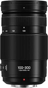 Amazon.com : Panasonic LUMIX G II Vario Lens, 100-300MM
