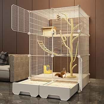 71g0zF2YvgL._AC_UF350,