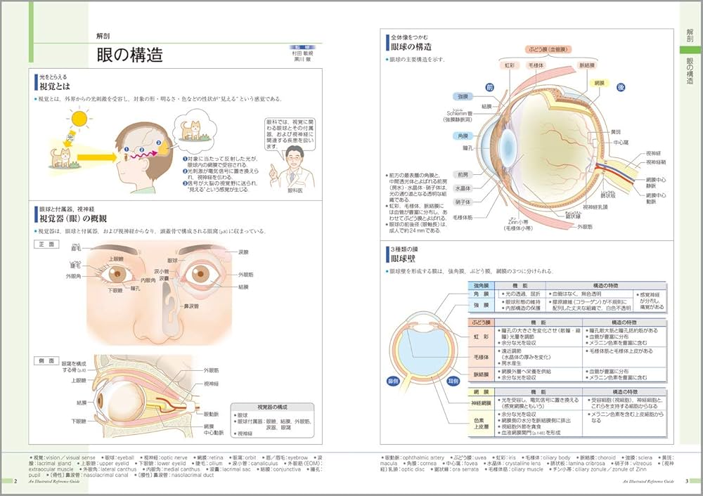 病気がみえる vol.12 眼科 第1版 | 医療情報科学研究所 |本 | 通販