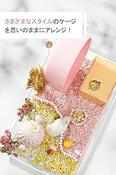 Amazon | BUCATSTATE 新版 700 ハムスター ケージ 最適化 全面クリア