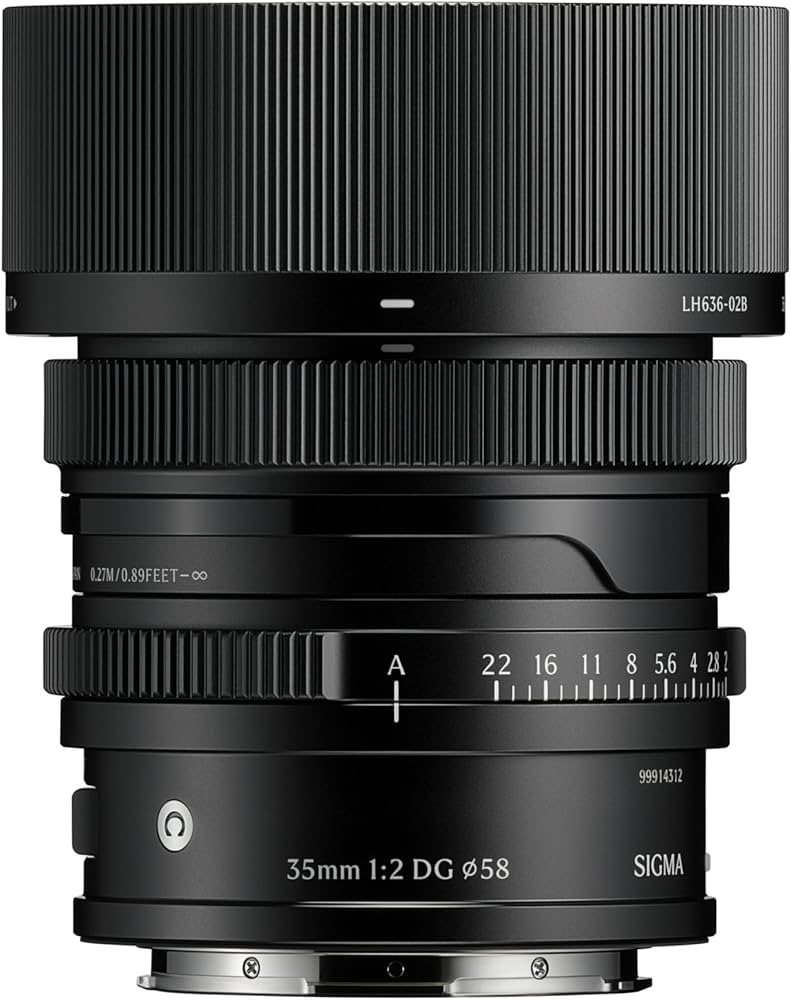 Amazon.com : Sigma 35mm F2 DG (Black) | Contemporary for L Mount