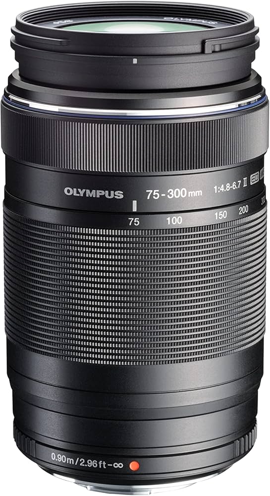 Amazon.com : Olympus M.Zuiko Digital 75-300mm F4.8-6.7 for Micro