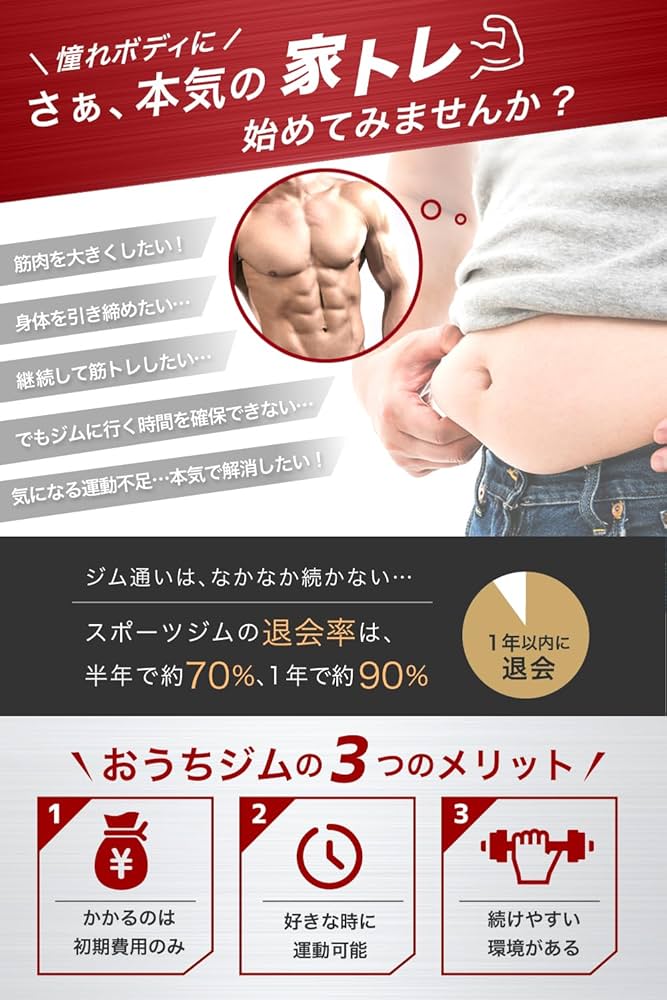 Amazon | PYKES PEAK (パイクスピーク) ぶら下がり健康器 懸垂マシン