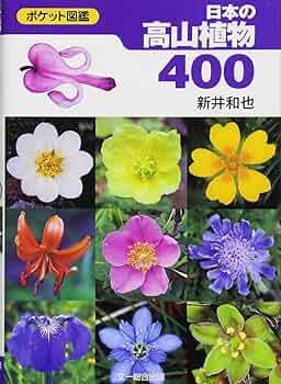 71hncEzbZRL._AC_UF350,