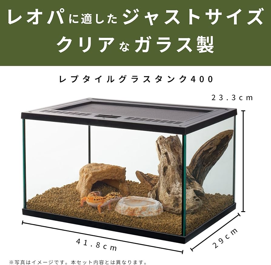 Amazon | スドー レオパ 飼育 セット キット 爬虫類 ヤモリ ガラス