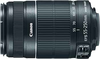 Amazon.com : Canon EF-S 55-250mm f/4.0-5.6 is II Telephoto Zoom