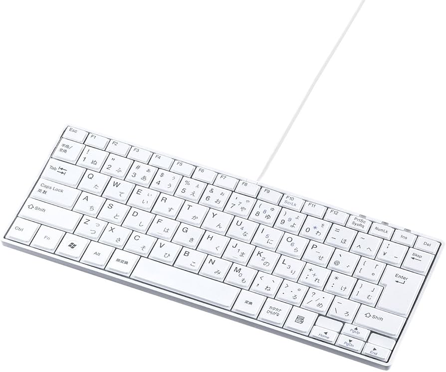 Amazon.co.jp: サンワサプライ 有線USBスリムキーボード テンキー無し