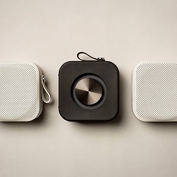 Amazon.com: Sudio F2 Portable Bluetooth Speaker with AUX Input