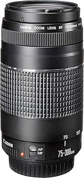 Amazon.com : Canon Ef 75-300mm F/4-5.6 III Telephoto Zoom Lens for