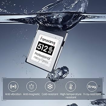 Amazon.com: fanxiang 2TB CFexpress Type B Memory Card, Up to