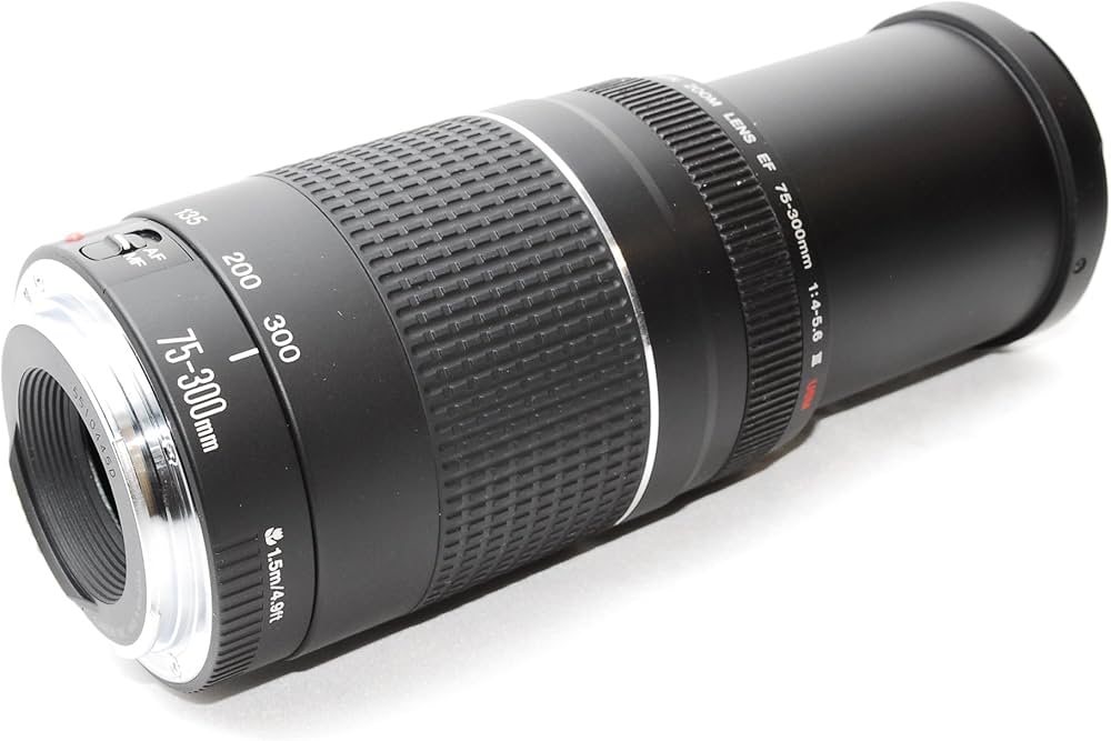 キヤノン☆手ブレ補正付 超望遠レンズ EF 75-300mm IS USM 【公式通販】