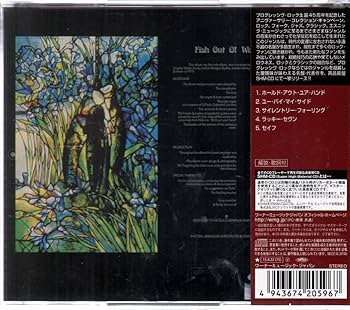 Amazon.co.jp: 未知への飛翔: ミュージック