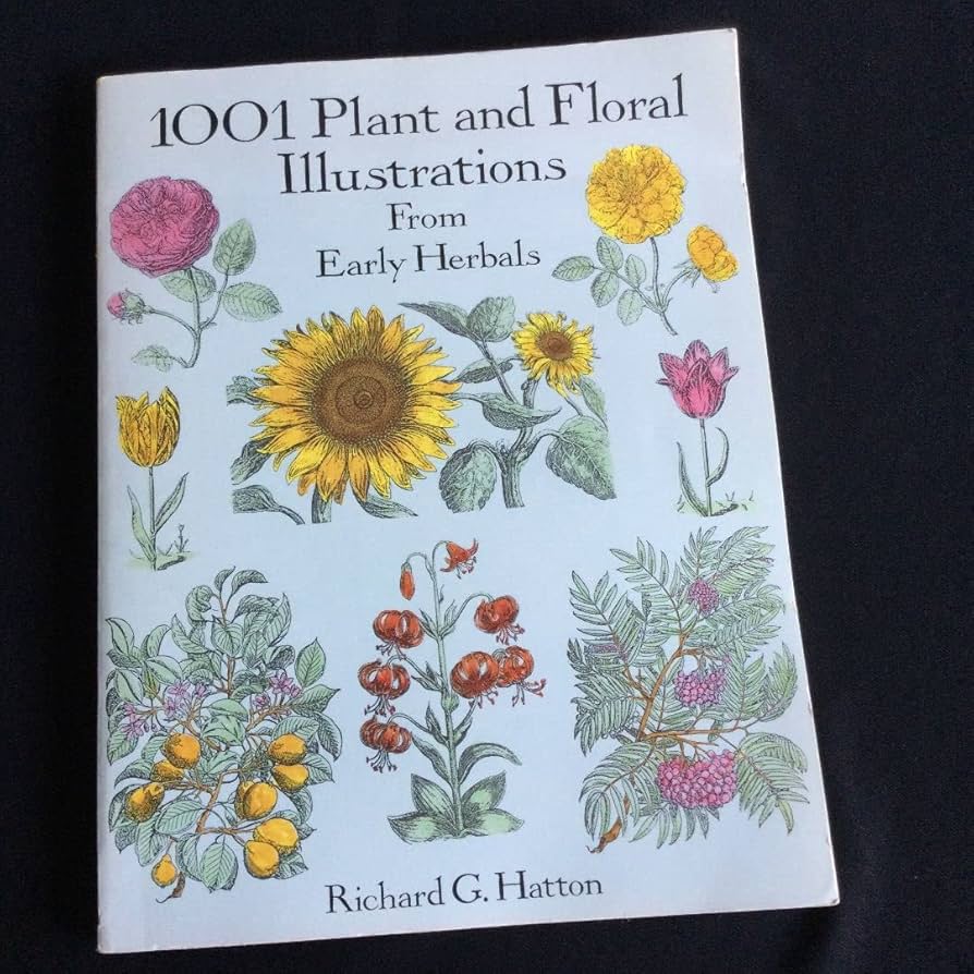 Amazon.co.jp: 植物 イラスト 花 フラワー 洋書 本 英語 ボタニカル