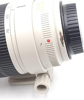 Amazon.co.jp: Canon 望遠ズームレンズ EF70-200mm F2.8L IS II USM