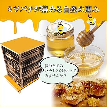 Amazon.co.jp: 日本蜜蜂 日本みつばち 日本ミツバチ 巣箱 重箱式 (3段