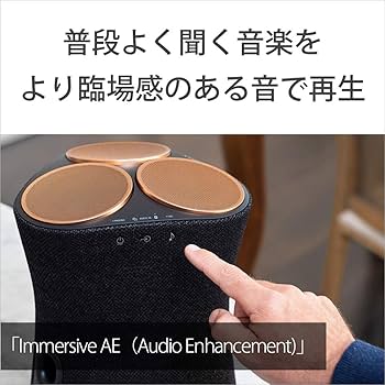 Amazon.co.jp: SONY ワイヤレススピーカー SRS-RA5000 : 家電＆カメラ