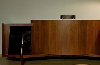 Amazon.co.jp: パラゴンを1/8サイズで再現したスピーカー 「iGON 12x