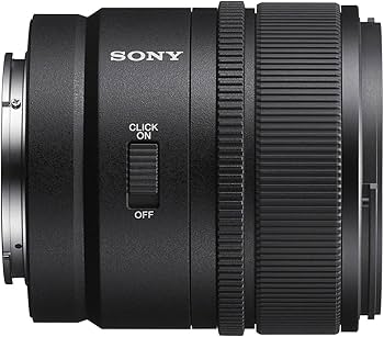 Amazon.co.jp: SONY(ソニー) 広角単焦点レンズ APS-C E 15mm F1.4 G G